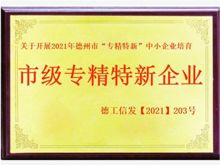 市级专精特新企业